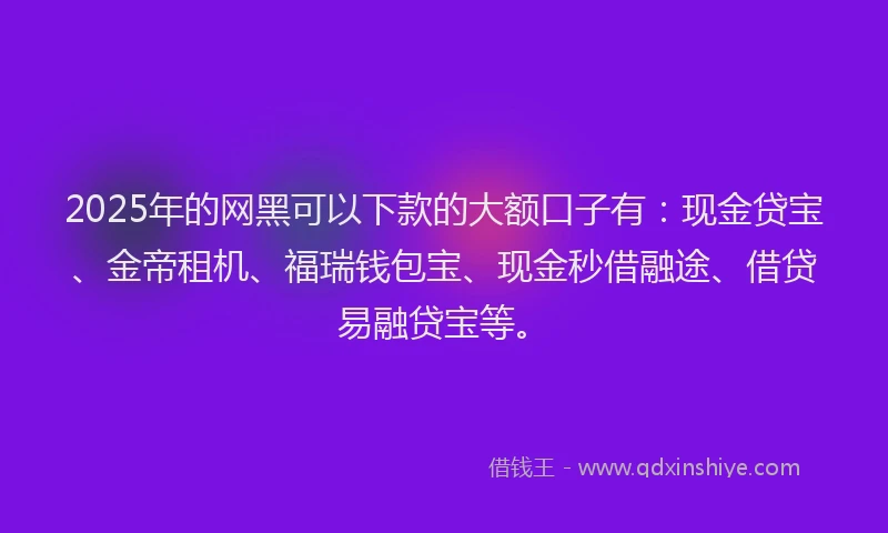 2025年的网黑可以下款的大额口子有：现金贷宝、金帝租机、福瑞钱包宝、现金秒借融途、借贷易融贷宝等。
