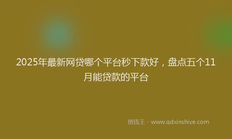 2025年最新网贷哪个平台秒下款好，盘点五个11月能贷款的平台