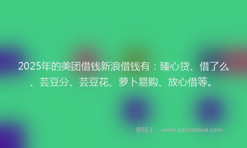 2025年的美团借钱新浪借钱有：臻心贷、借了么、芸豆分、芸豆花、萝卜易购、放心借等。
