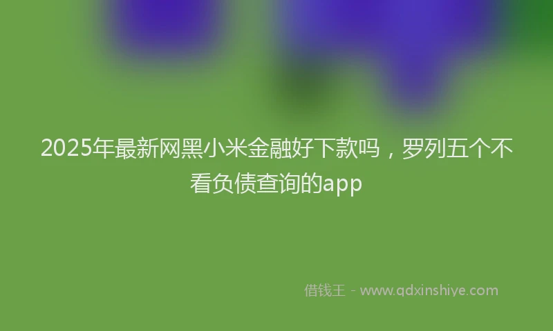 2025年最新网黑小米金融好下款吗，罗列五个不看负债查询的app