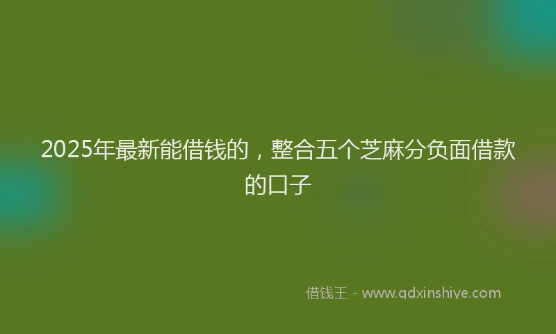 2025年最新能借钱的，整合五个芝麻分负面借款的口子