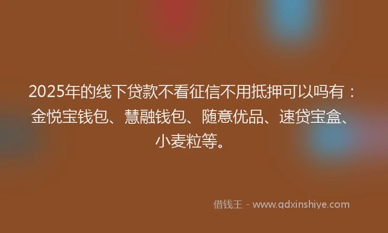 2025年的线下贷款不看征信不用抵押可以吗有：金悦宝钱包、慧融钱包、随意优品、速贷宝盒、小麦粒等。