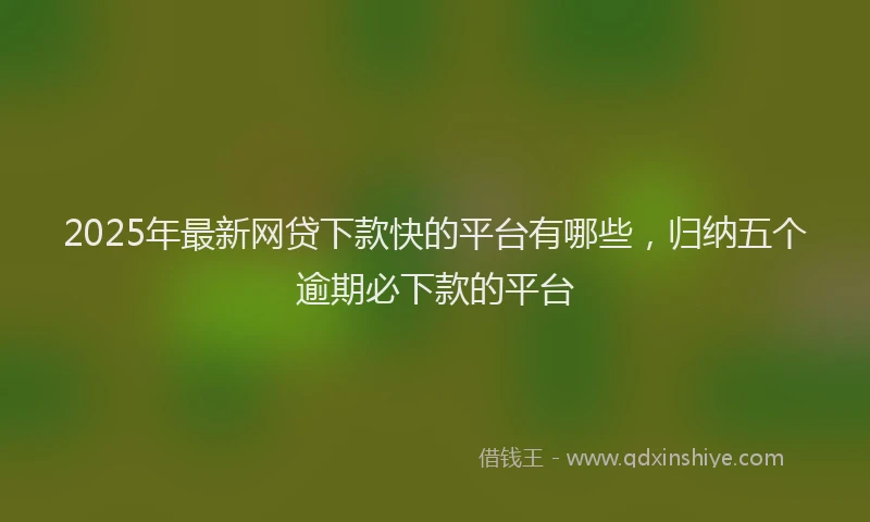 2025年最新网贷下款快的平台有哪些，归纳五个逾期必下款的平台