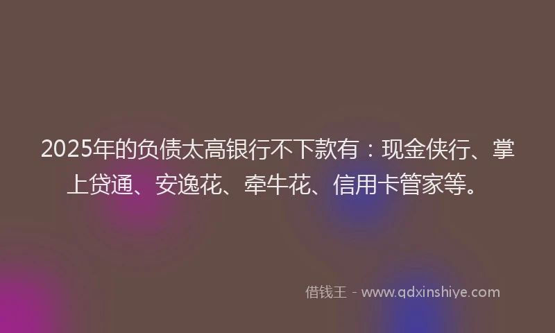 2025年的负债太高银行不下款有：现金侠行、掌上贷通、安逸花、牵牛花、信用卡管家等。