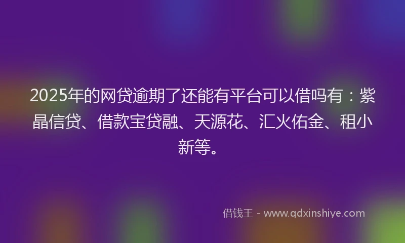 2025年的网贷逾期了还能有平台可以借吗有：紫晶信贷、借款宝贷融、天源花、汇火佑金、租小新等。