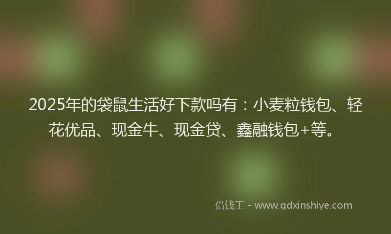 2025年的袋鼠生活好下款吗有：小麦粒钱包、轻花优品、现金牛、现金贷、鑫融钱包+等。