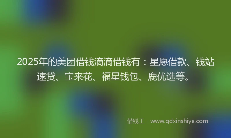 2025年的美团借钱滴滴借钱有：星愿借款、钱站速贷、宝来花、福星钱包、鹿优选等。