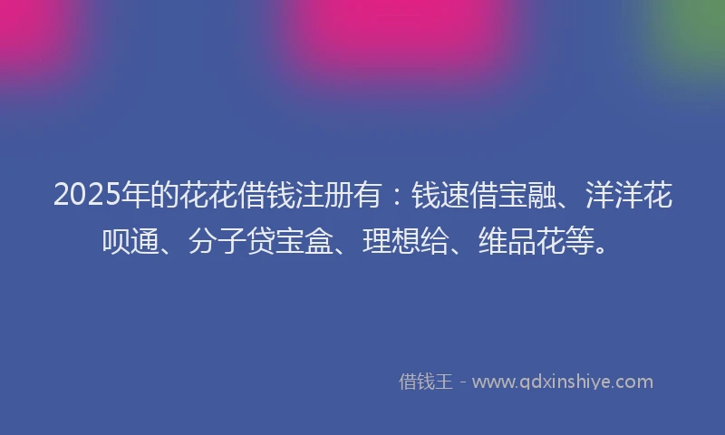 2025年的花花借钱注册有：钱速借宝融、洋洋花呗通、分子贷宝盒、理想给、维品花等。