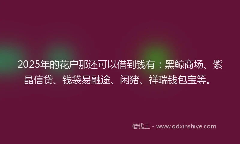 2025年的花户那还可以借到钱有：黑鲸商场、紫晶信贷、钱袋易融途、闲猪、祥瑞钱包宝等。