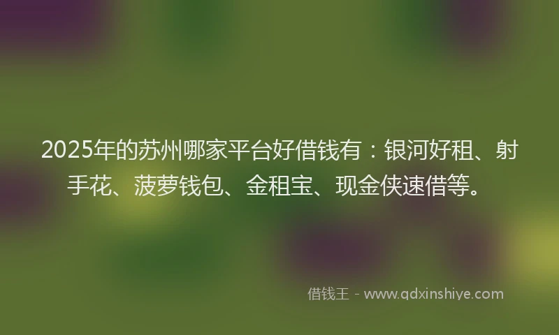 2025年的苏州哪家平台好借钱有：银河好租、射手花、菠萝钱包、金租宝、现金侠速借等。