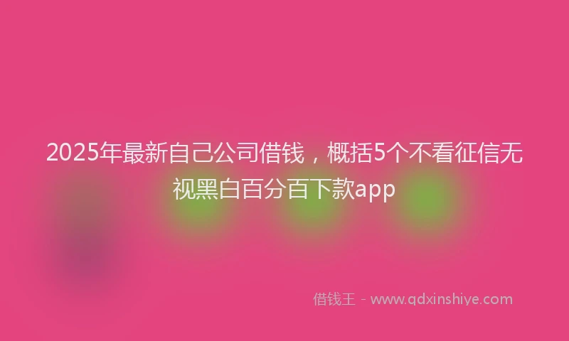 2025年最新自己公司借钱，概括5个不看征信无视黑白百分百下款app