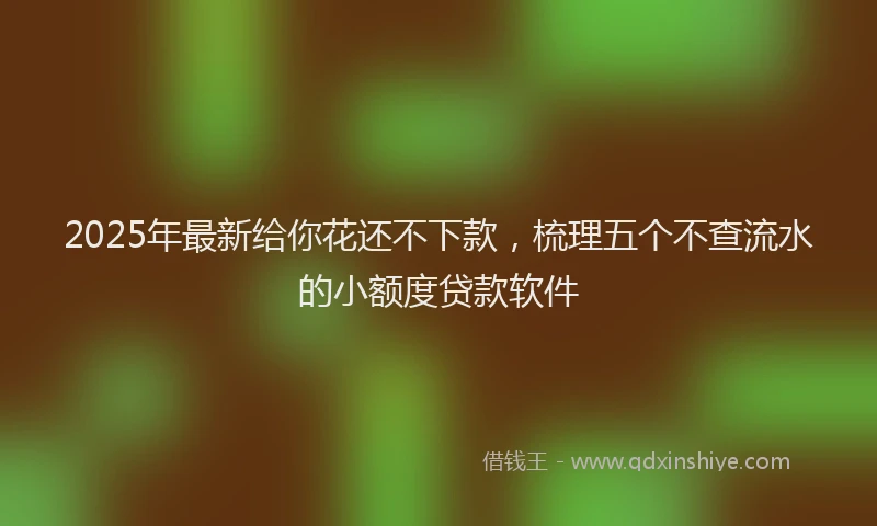 2025年最新给你花还不下款，梳理五个不查流水的小额度贷款软件