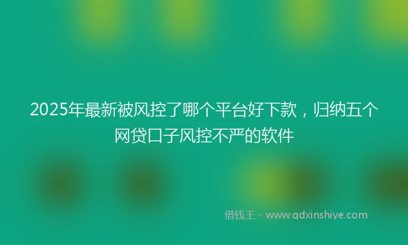 2025年最新被风控了哪个平台好下款，归纳五个网贷口子风控不严的软件