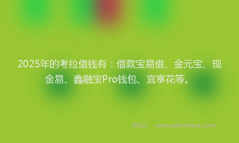 2025年的考拉借钱有：借款宝易借、金元宝、现金易、鑫融宝Pro钱包、宜享花等。