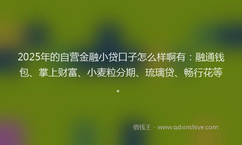 2025年的自营金融小贷口子怎么样啊有：融通钱包、掌上财富、小麦粒分期、琉璃贷、畅行花等。