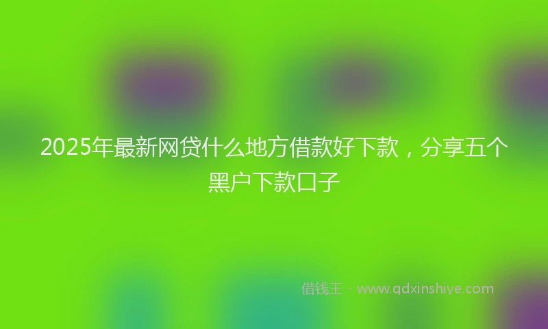 2025年最新网贷什么地方借款好下款，分享五个黑户下款口子