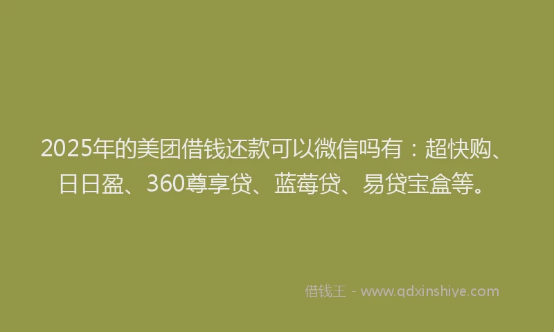 2025年的美团借钱还款可以微信吗有：超快购、日日盈、360尊享贷、蓝莓贷、易贷宝盒等。