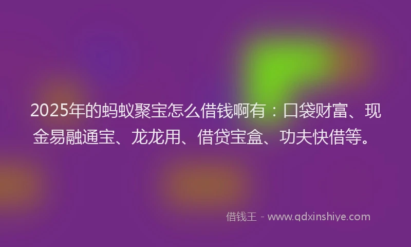 2025年的蚂蚁聚宝怎么借钱啊有：口袋财富、现金易融通宝、龙龙用、借贷宝盒、功夫快借等。