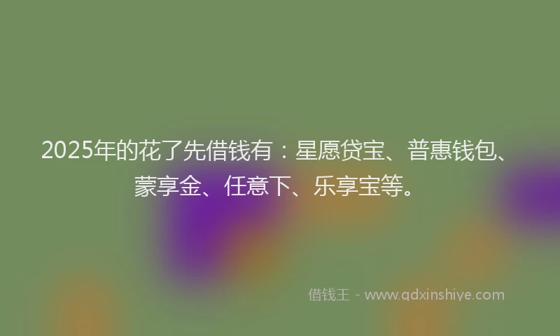 2025年的花了先借钱有：星愿贷宝、普惠钱包、蒙享金、任意下、乐享宝等。