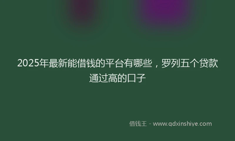2025年最新能借钱的平台有哪些，罗列五个贷款通过高的口子