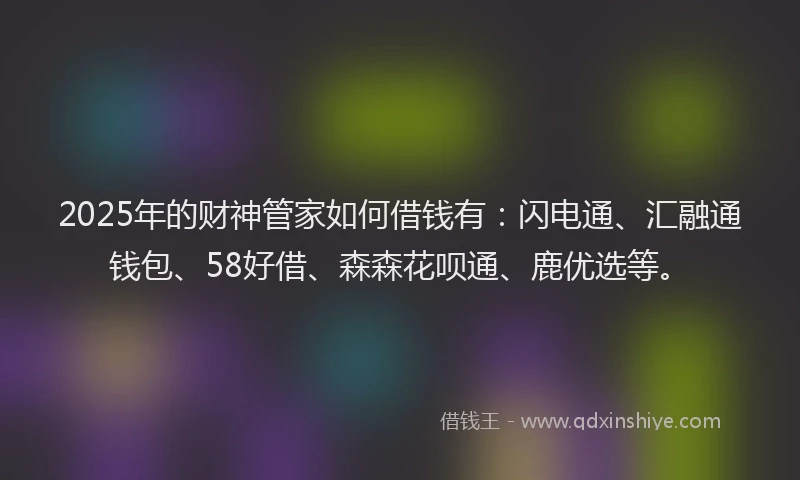 2025年的财神管家如何借钱有：闪电通、汇融通钱包、58好借、森森花呗通、鹿优选等。