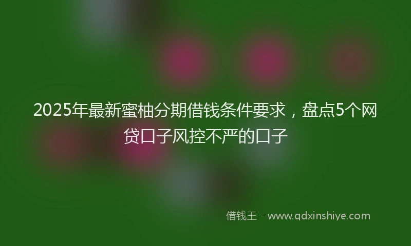 2025年最新蜜柚分期借钱条件要求，盘点5个网贷口子风控不严的口子