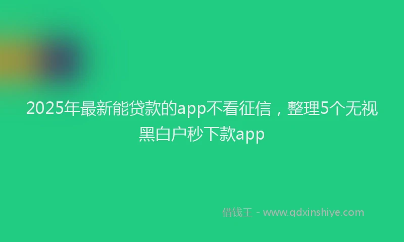 2025年最新能贷款的app不看征信，整理5个无视黑白户秒下款app