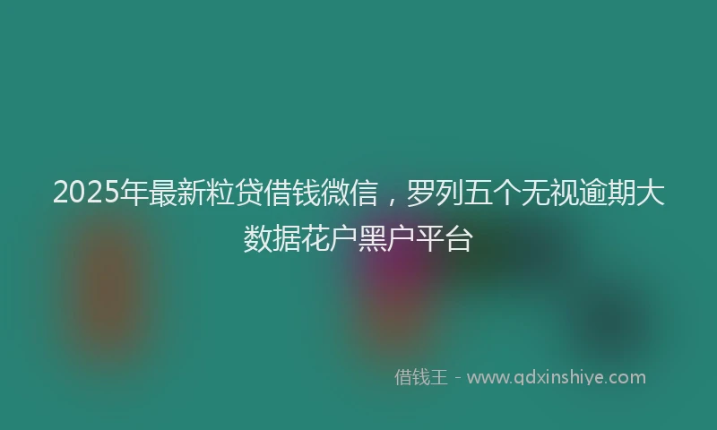 2025年最新粒贷借钱微信，罗列五个无视逾期大数据花户黑户平台
