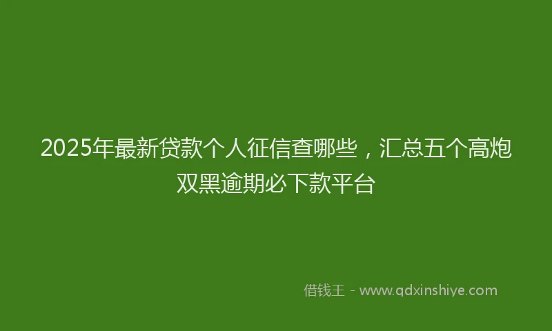 2025年最新贷款个人征信查哪些，汇总五个高炮双黑逾期必下款平台