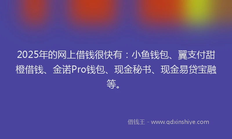 2025年的网上借钱很快有：小鱼钱包、翼支付甜橙借钱、金诺Pro钱包、现金秘书、现金易贷宝融等。