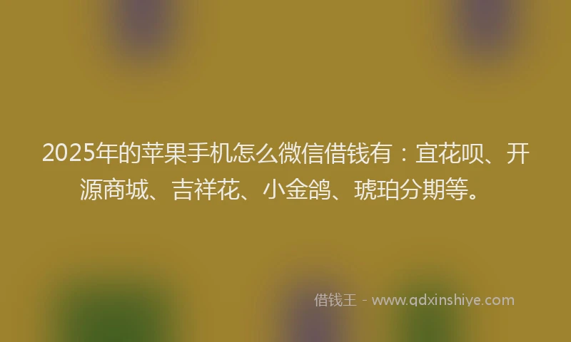 2025年的苹果手机怎么微信借钱有：宜花呗、开源商城、吉祥花、小金鸽、琥珀分期等。