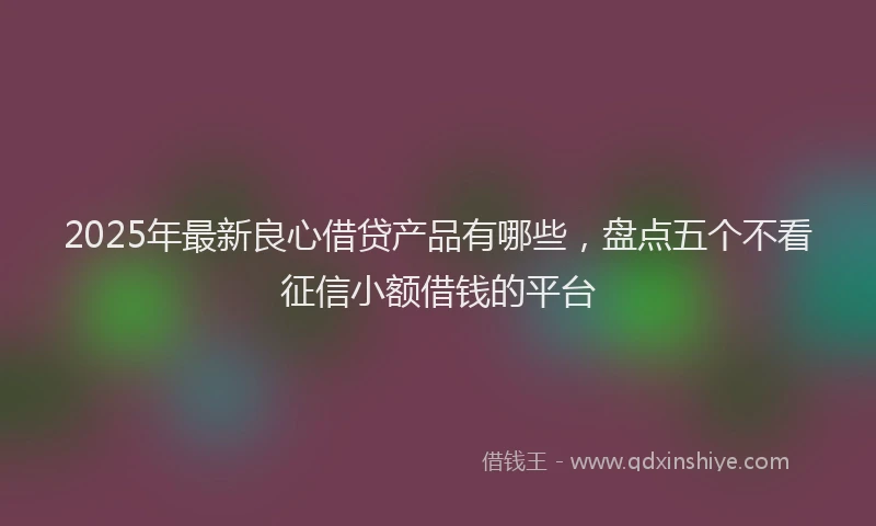 2025年最新良心借贷产品有哪些，盘点五个不看征信小额借钱的平台