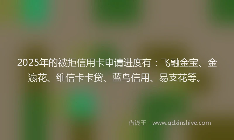 2025年的被拒信用卡申请进度有：飞融金宝、金瀛花、维信卡卡贷、蓝鸟信用、易支花等。