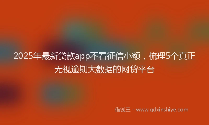 2025年最新贷款app不看征信小额，梳理5个真正无视逾期大数据的网贷平台