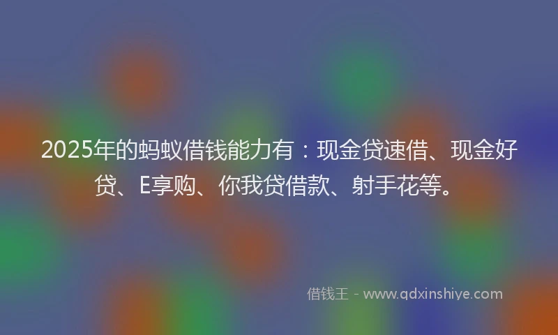 2025年的蚂蚁借钱能力有：现金贷速借、现金好贷、E享购、你我贷借款、射手花等。