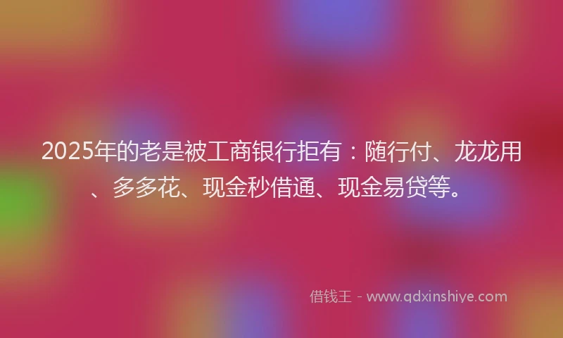 2025年的老是被工商银行拒有：随行付、龙龙用、多多花、现金秒借通、现金易贷等。