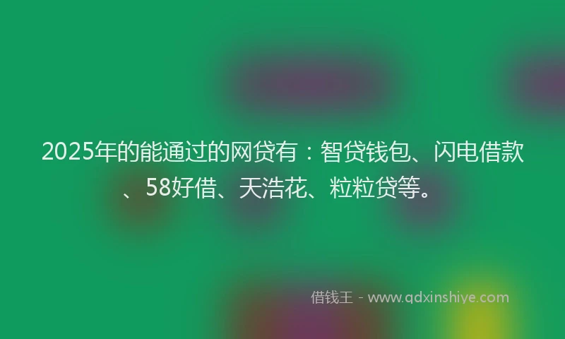 2025年的能通过的网贷有：智贷钱包、闪电借款、58好借、天浩花、粒粒贷等。
