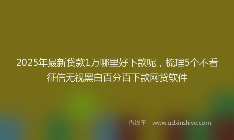 2025年最新贷款1万哪里好下款呢，梳理5个不看征信无视黑白百分百下款网贷软件