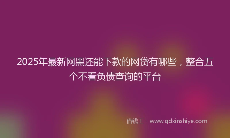 2025年最新网黑还能下款的网贷有哪些，整合五个不看负债查询的平台