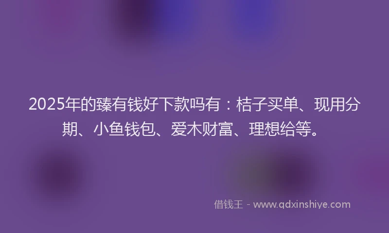 2025年的臻有钱好下款吗有：桔子买单、现用分期、小鱼钱包、爱木财富、理想给等。