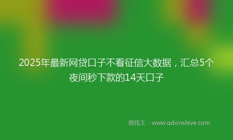 2025年最新网贷口子不看征信大数据，汇总5个夜间秒下款的14天口子