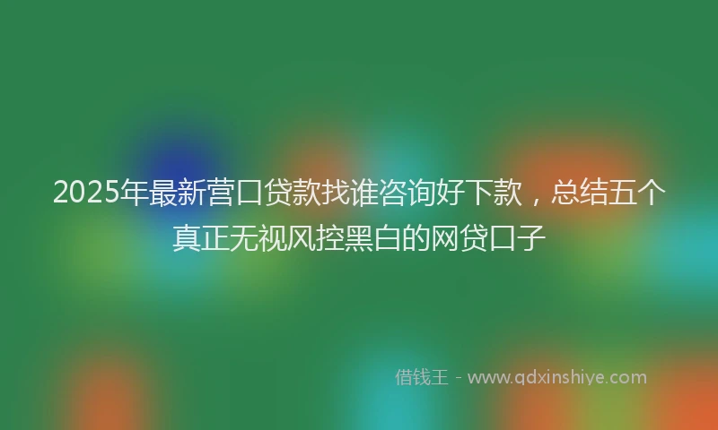 2025年最新营口贷款找谁咨询好下款，总结五个真正无视风控黑白的网贷口子