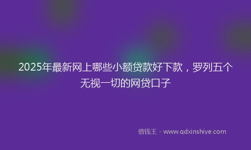 2025年最新网上哪些小额贷款好下款，罗列五个无视一切的网贷口子