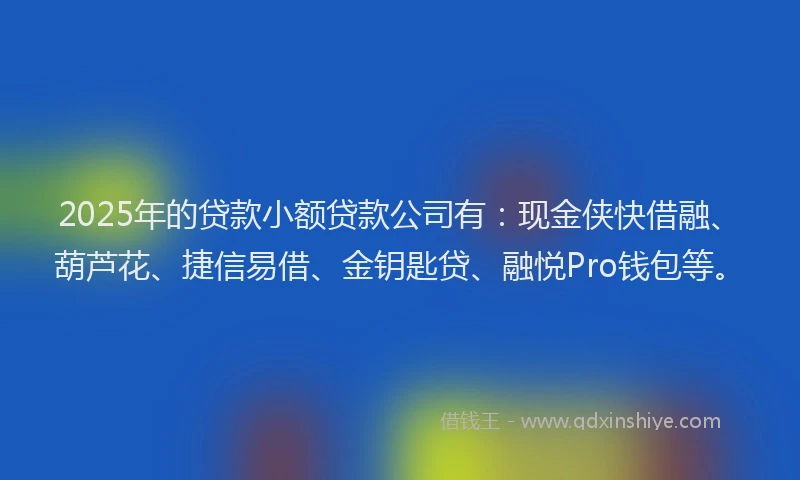 2025年的贷款小额贷款公司有：现金侠快借融、葫芦花、捷信易借、金钥匙贷、融悦Pro钱包等。
