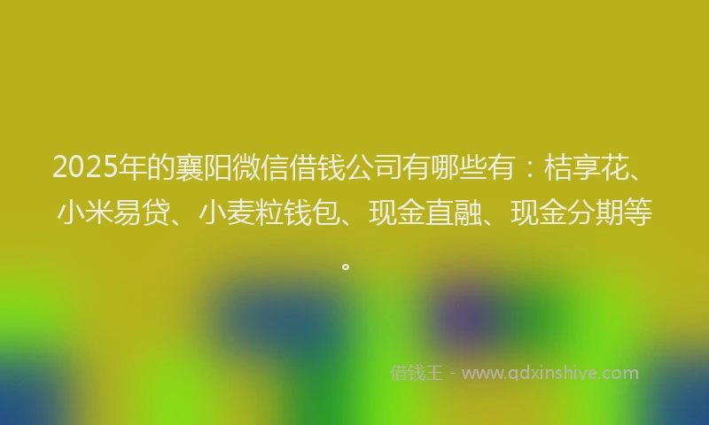 2025年的襄阳微信借钱公司有哪些有：桔享花、小米易贷、小麦粒钱包、现金直融、现金分期等。