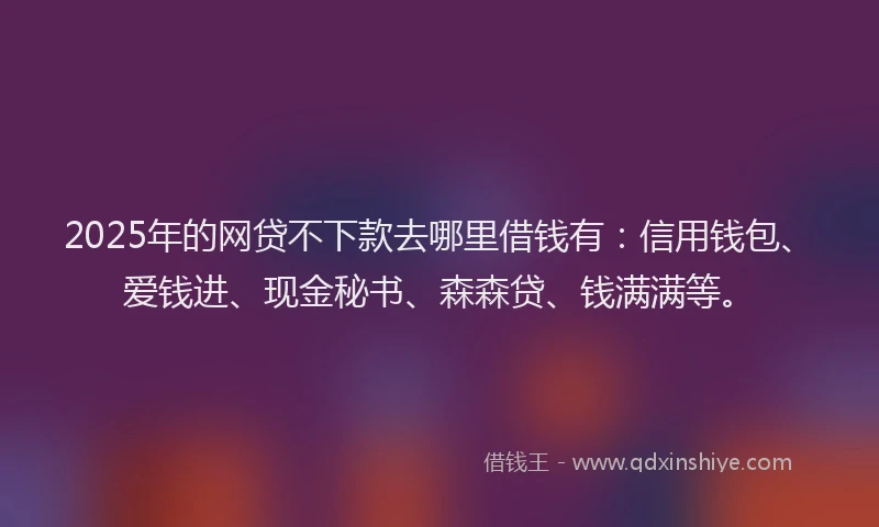 2025年的网贷不下款去哪里借钱有：信用钱包、爱钱进、现金秘书、森森贷、钱满满等。