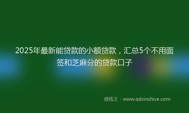 2025年最新能贷款的小额贷款，汇总5个不用面签和芝麻分的贷款口子