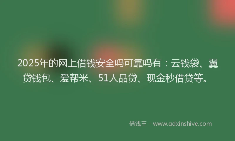 2025年的网上借钱安全吗可靠吗有：云钱袋、翼贷钱包、爱帮米、51人品贷、现金秒借贷等。