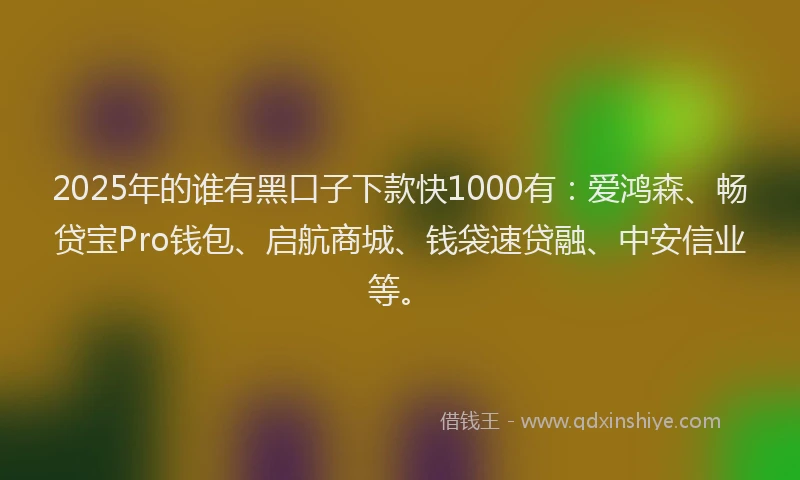 2025年的谁有黑口子下款快1000有：爱鸿森、畅贷宝Pro钱包、启航商城、钱袋速贷融、中安信业等。