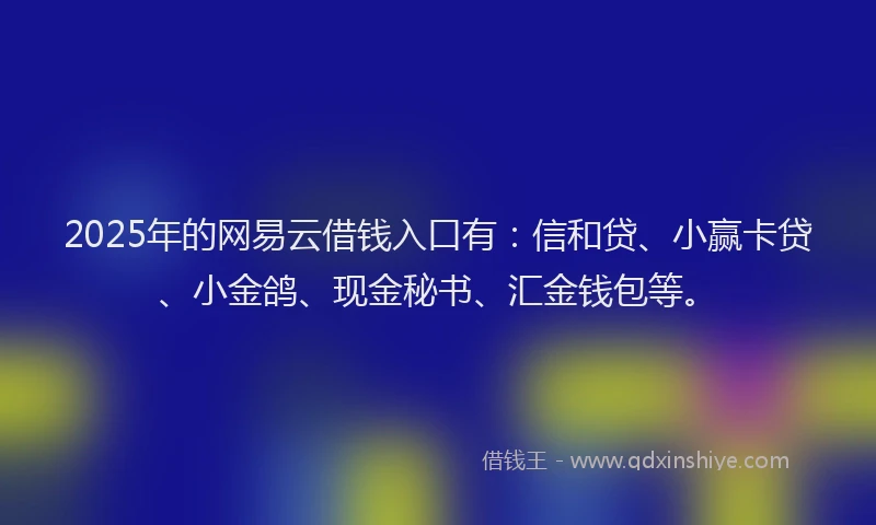 2025年的网易云借钱入口有：信和贷、小赢卡贷、小金鸽、现金秘书、汇金钱包等。